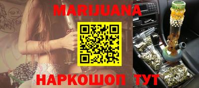 крисы Будённовск