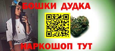 крисы Будённовск