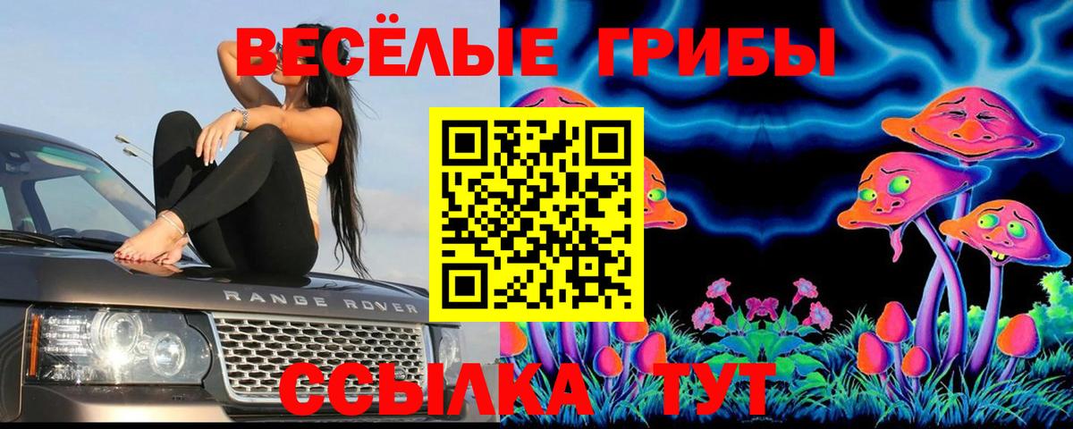 дарнет шоп  Вход с VPN  Кушва  Псилоцибиновые грибы ЛСД  Псилоцибиновые грибы прущие грибы 
